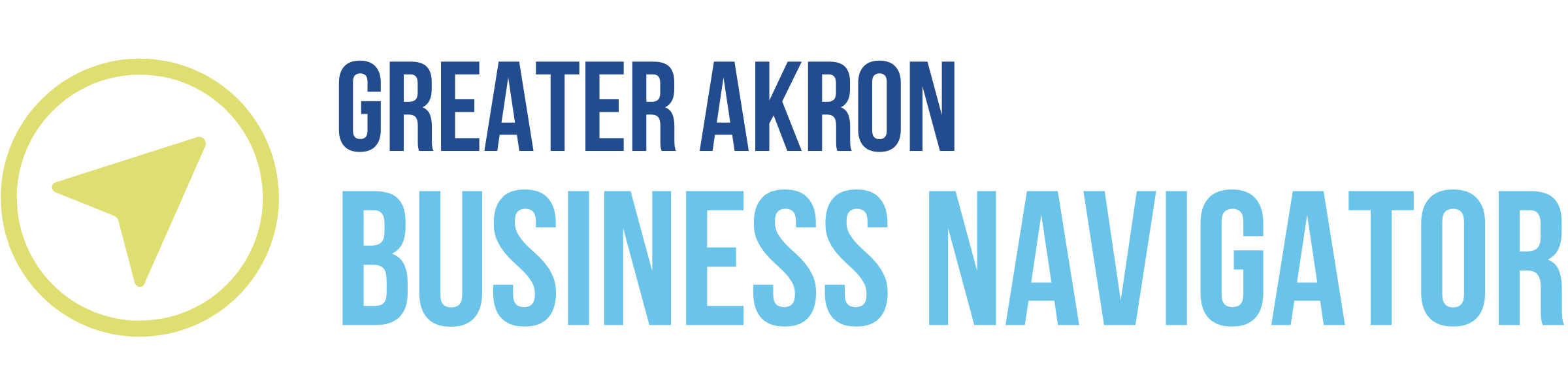 Business Navigator Logo (1200x300)