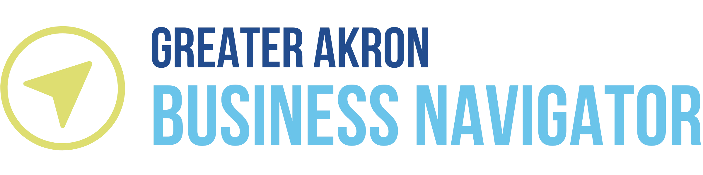 Business Navigator Logo (1200x300)